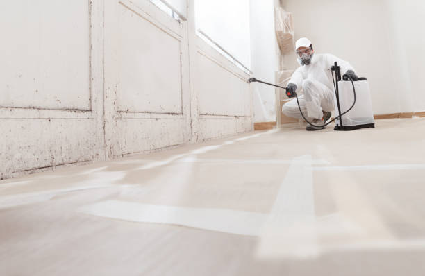 24/7 Emergency Mold Remediation experts in Harrington Park, NJ