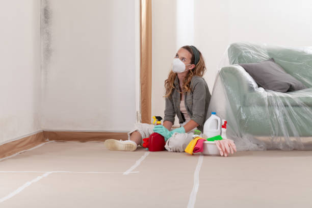 Reliable Mold Remediation contractor in Harrington Park, NJ by Cheap Mold Removal